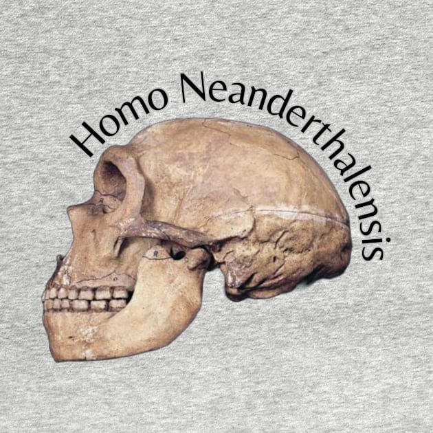 Homo Neanderthalensis Skull by Liana Campbell